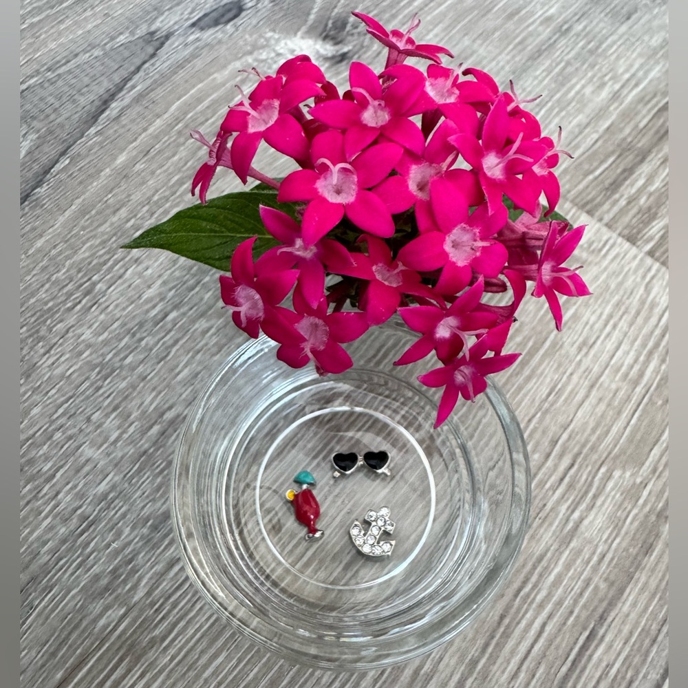 🏝️Origami Owl 3 Charms… Cocktail, Sunglasses and Anchor With Crystals